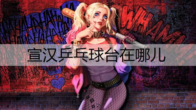 宣汉乒乓球台在哪儿
