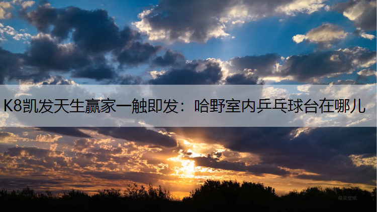 K8凯发天生赢家一触即发：哈野室内乒乓球台在哪儿
