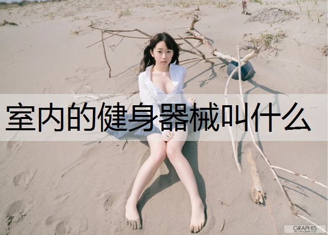 室内的健身器械叫什么