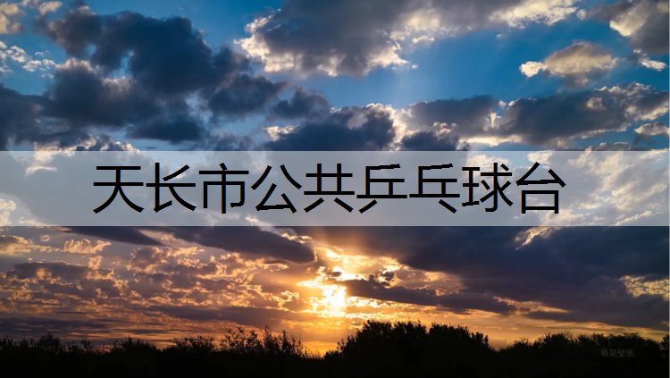 天长市公共乒乓球台