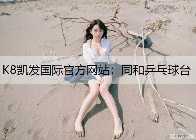 K8凯发国际官方网站：同和乒乓球台