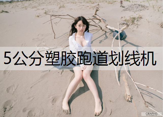 5公分塑胶跑道划线机