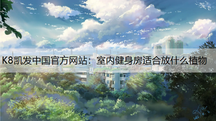 室内健身房适合放什么植物