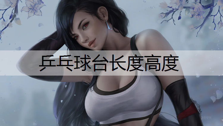 乒乓球台长度高度