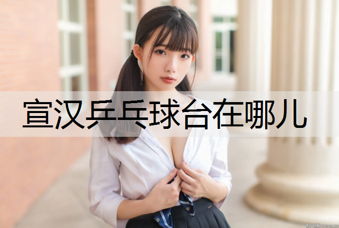 宣汉乒乓球台在哪儿