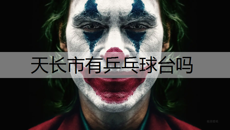 天长市有乒乓球台吗
