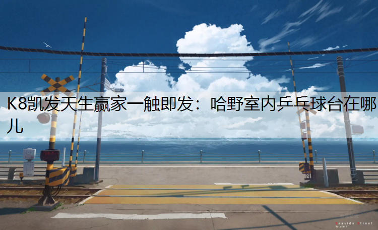 哈野室内乒乓球台在哪儿