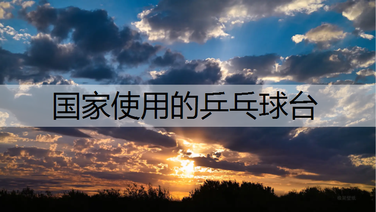 国家使用的乒乓球台