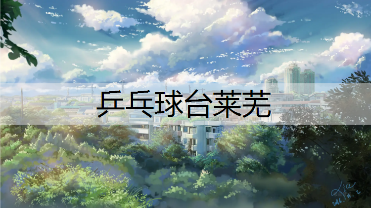 乒乓球台莱芜