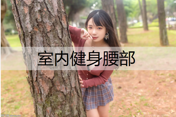 室内健身腰部