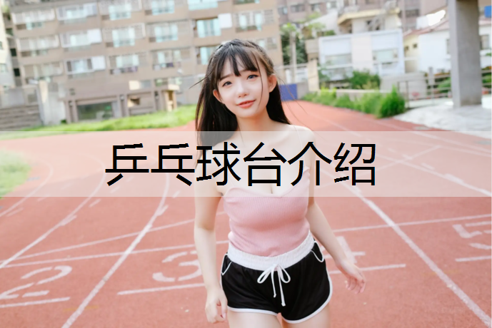 乒乓球台介绍