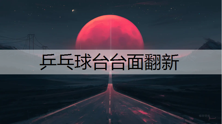 乒乓球台台面翻新