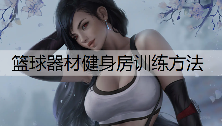 篮球器材健身房训练方法