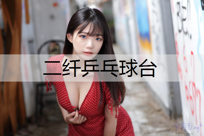 二纤乒乓球台